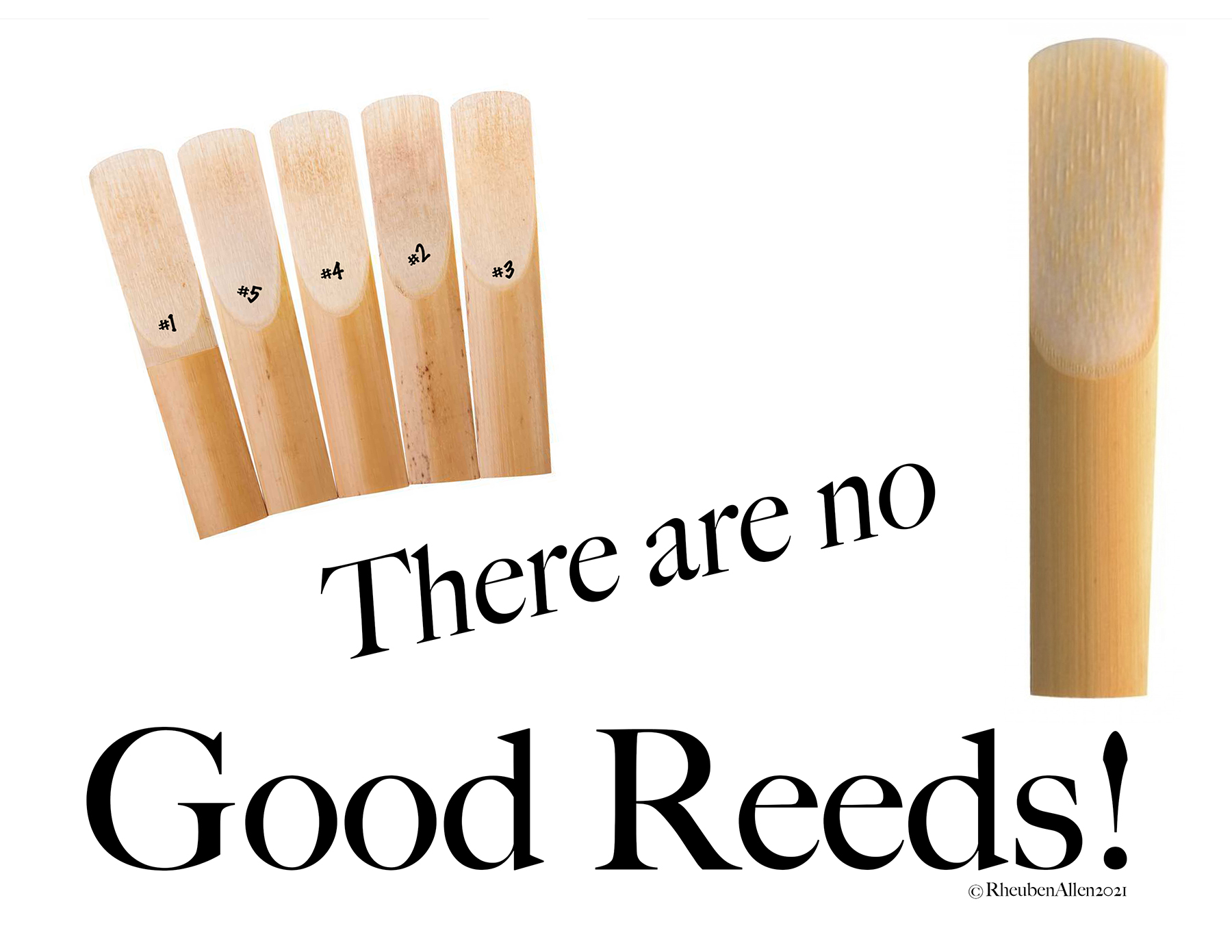 There are no good reeds T shirt by Rheuben Allen